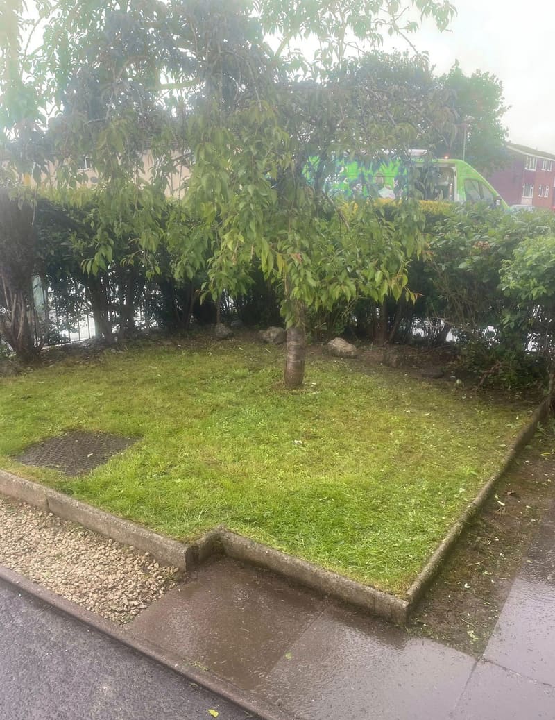 After garden tidy - Shiregreen, Sheffield