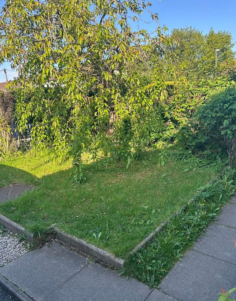 Before garden tidy - Shiregreen, Sheffield