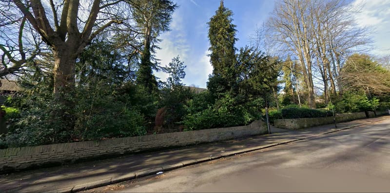 Tree surgery in Ecclesall, Sheffield