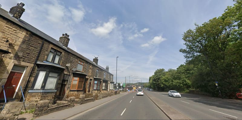Tree surgery in Hillsborough, Sheffield