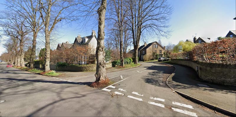Tree surgery in Nether Edge, Sheffield