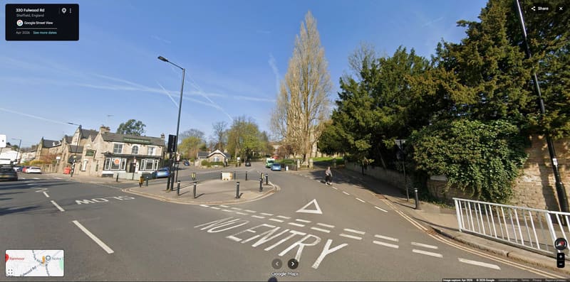 Tree surgery in Ranmoor, Sheffield